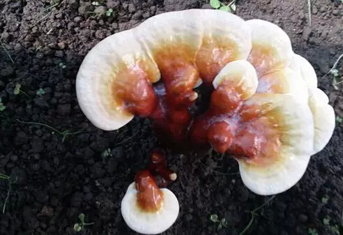 圖片關鍵詞 圖片關鍵詞