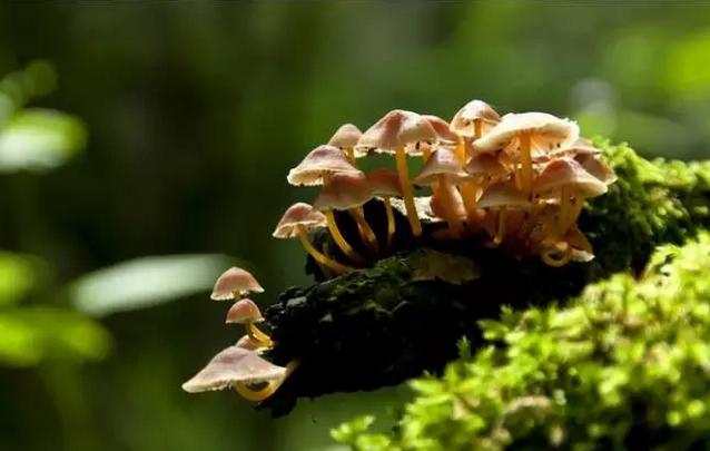 圖片關鍵詞 圖片關鍵詞