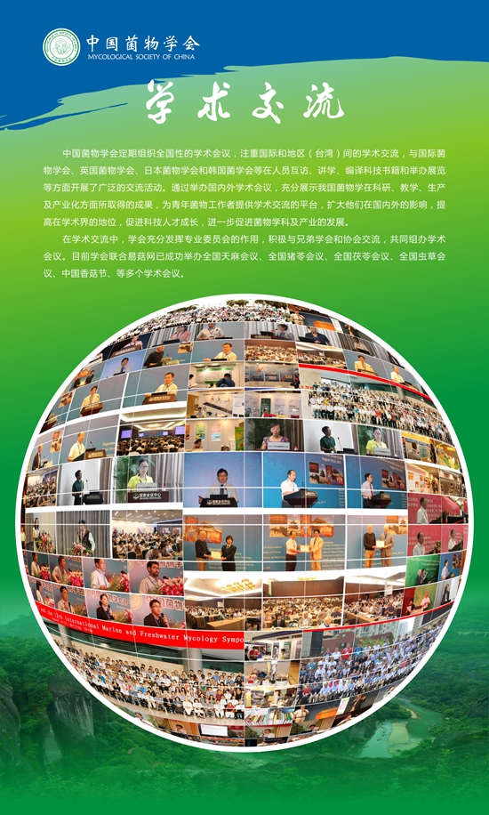 圖片關鍵詞 圖片關鍵詞