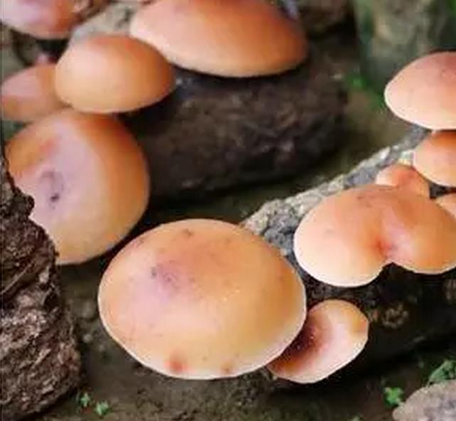 圖片關鍵詞 圖片關鍵詞