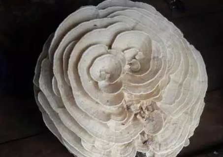 圖片關(guān)鍵詞 圖片關(guān)鍵詞