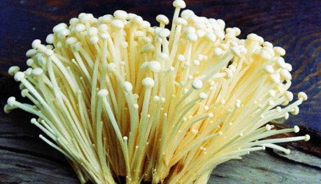 圖片關鍵詞 圖片關鍵詞