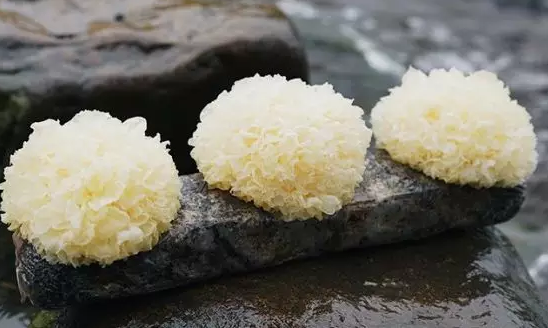 圖片關鍵詞 http://m.wasaouro.com/ewebeditor/uploadfile/20180328092751720001.png