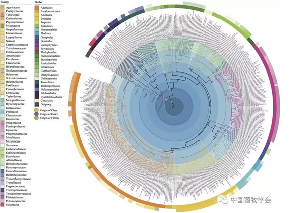 圖片關鍵詞 圖片關鍵詞