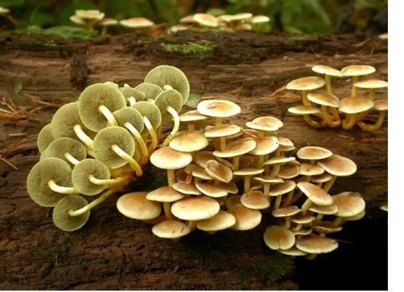 圖片關鍵詞 圖片關鍵詞