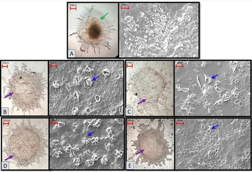 圖片關(guān)鍵詞 圖片關(guān)鍵詞