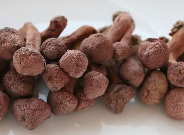 國家蘑菇地理：中國哪里的蘑菇最好吃？