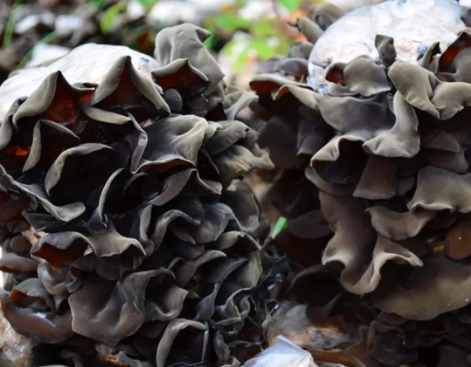 圖片關鍵詞 圖片關鍵詞