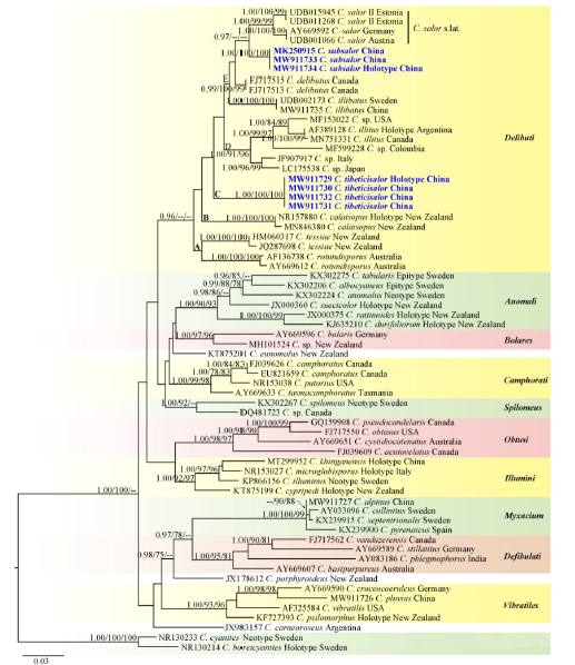 圖片關鍵詞 https://mmbiz.qpic.cn/mmbiz_png/tViaTicjwibVZl8tInGjpzxgI4g7C4iatjuD3ricRzlGdU4k65VyMWuL3fbSdkdZN8ZH2QHRA5nwukunIftic5ZWyfibw/640?wx_fmt=png