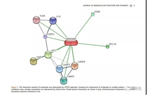 圖片關鍵詞 圖片關鍵詞