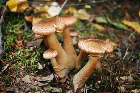 圖片關鍵詞 圖片關鍵詞