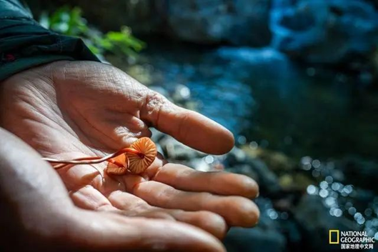 圖片關鍵詞 圖片關鍵詞