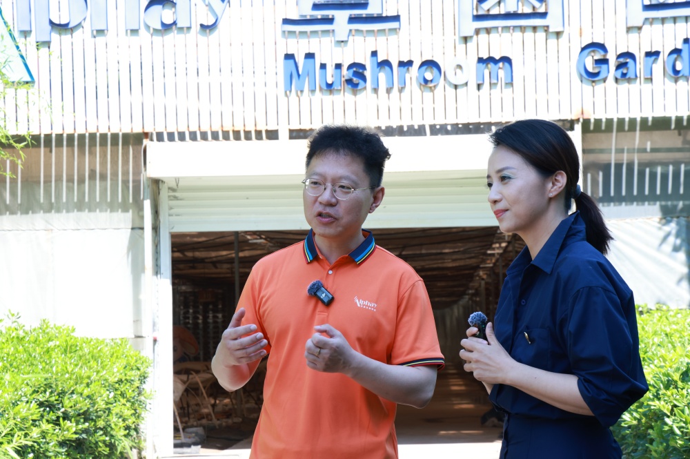 圖片關鍵詞 圖片關鍵詞