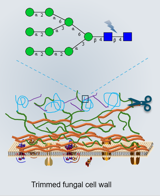 圖片關(guān)鍵詞 圖片關(guān)鍵詞