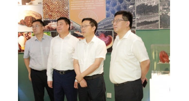 專(zhuān)題報(bào)道